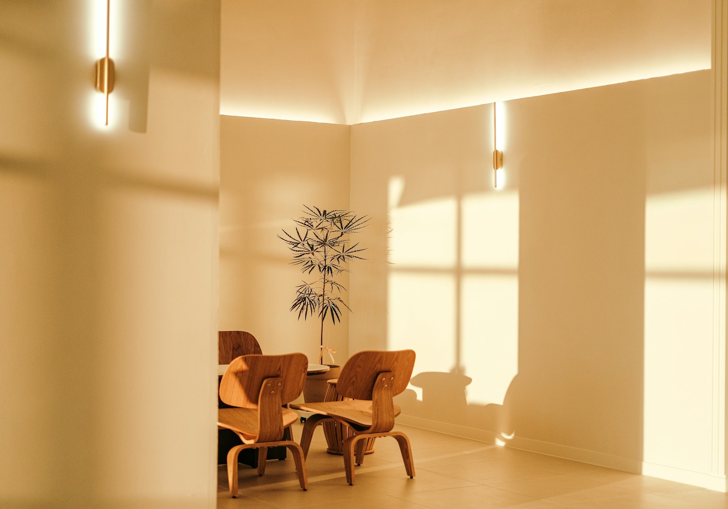 Interior design & styling